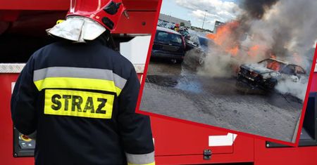 Auta płonęły jak pochodnie. Duży pożar przy lotnisku w Gdańsku