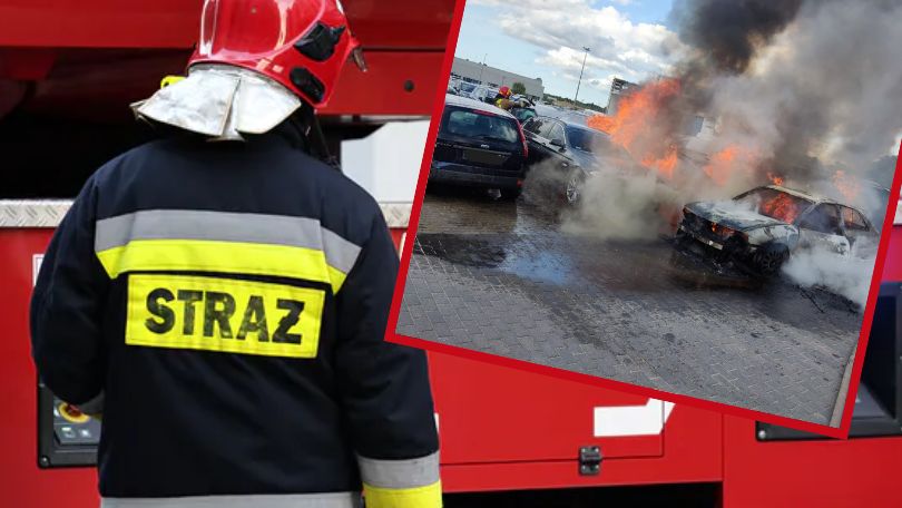 Auta jak pochodnie. Duży pożar przy lotnisku w Gdańsku