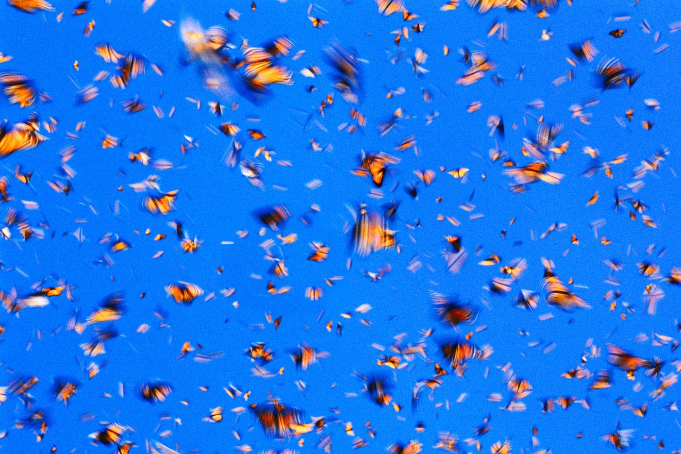 Namibia to jeden z cudów świata. Fotografie Fransa Lantinga sprawiają, że w ten cud jeszcze trudniej uwierzyć 4