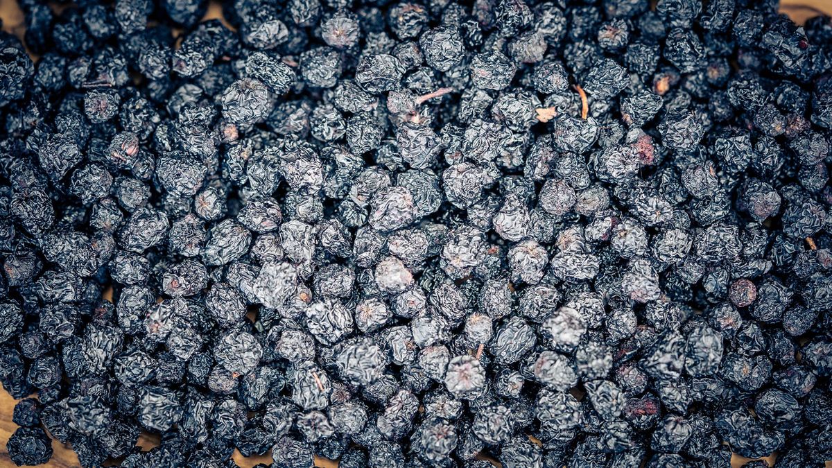 Cierpka jagoda zapomnianym superfood. Chroni przed cukrzycą i zawałem