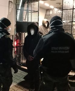 Śląskie. Przebyli tysiące kilometrów, wpadli w Polsce