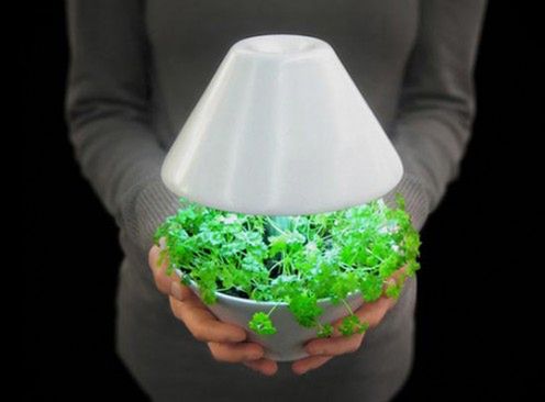 Lightpot - lampka i ogródek w jednym 1