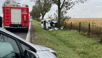 Dramatyczne wieści ws. 7-latki. Jechała busem, który uderzył w drzewo