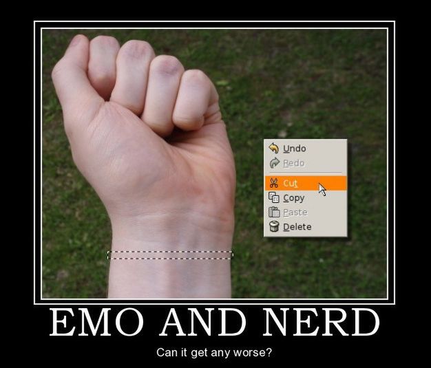 392313650509005065