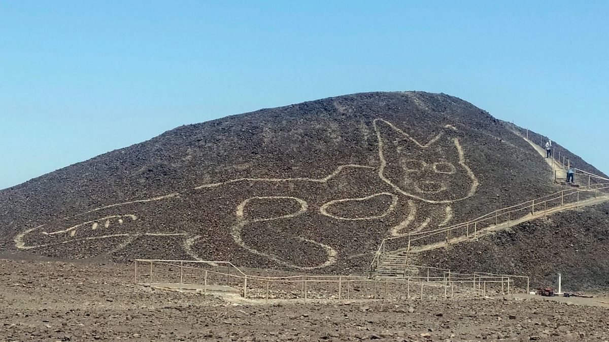 Zdjęcie dnia. Ogromny kot znaleziony wśród rysunków z Nazca w Peru 1
