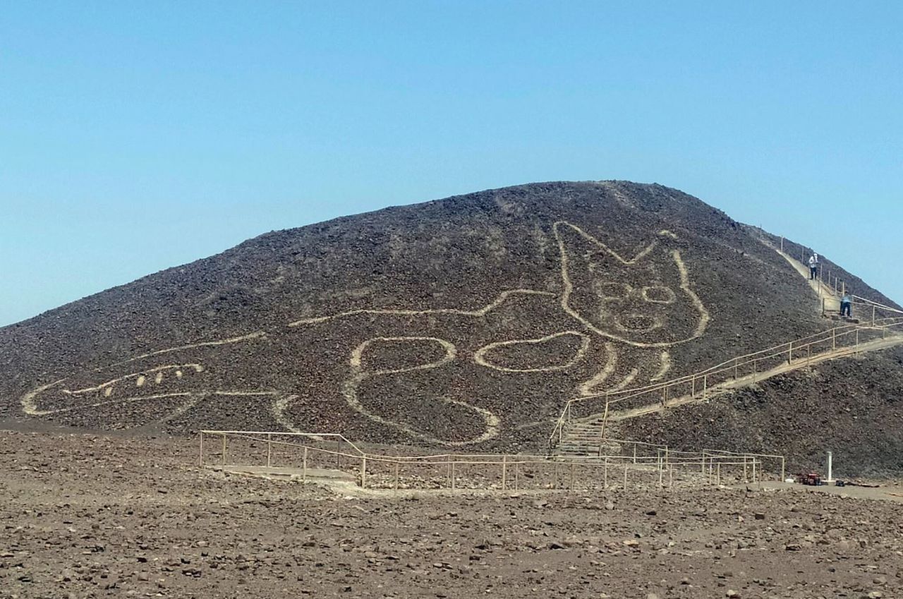 Rysunek wielkiego kota w Nazca Lines (fot. Jhony Islas).