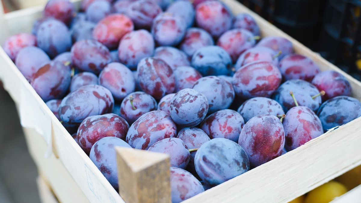 Ta cena robi wrażenie. Tyle w warzywniaku chcą za trzy śliwki!