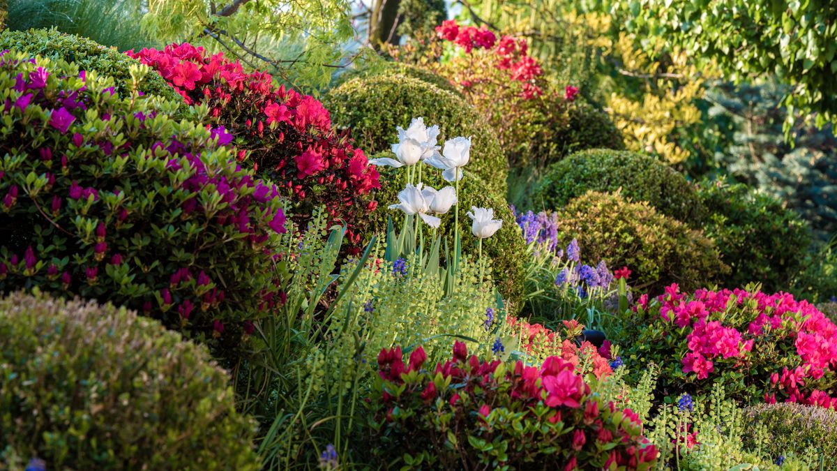  Pochwal się ogrodem, działką lub pięknie ukwieconym balkonem
