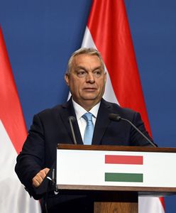 Media Orbana mają swoją tezę. Wskazują winnego w Kijowie