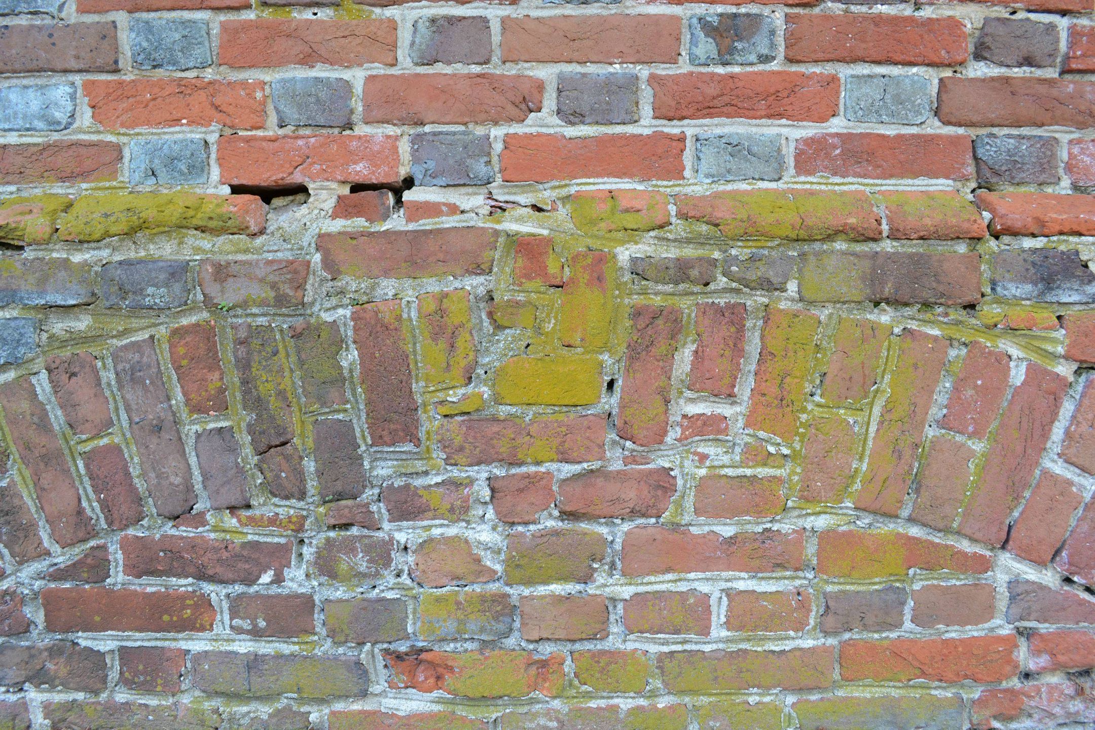 OnePlus One czy lustrzanka? Zobacz zdjęcia porównawcze 19