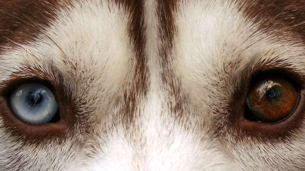 Kampanie społeczne nie muszą być nudne. Zobacz ciekawe klipy z Maczeta.tv! 1