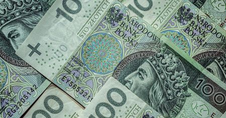 CBA uderza w byłych szefów Polskiej Fundacji Narodowej. Zarzuty za stratę milionów złotych