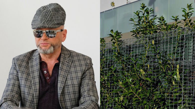 Żywopłoty, które wyglądają jak Krzysztof Rutkowski