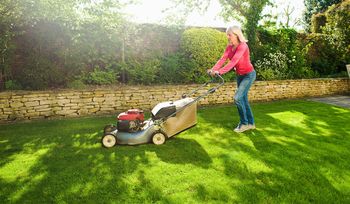 Czas z tym skończyć. Wielu Polaków wyrzuca "zielone złoto" na śmieci