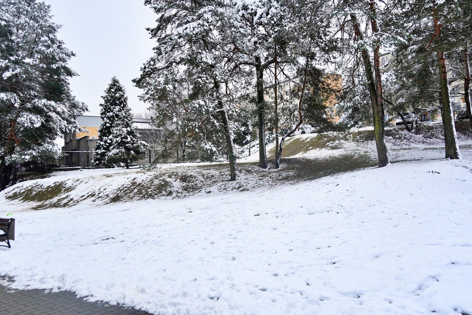 Gdzie na sanki w Olkuszu? - zdjęcie poglądowe