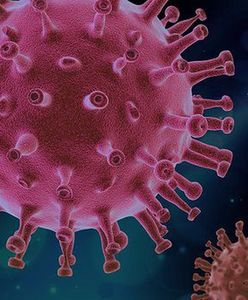 Katowice. Kilkadziesiąt samochodów w kolejce i kilka godzin oczekiwania na test na koronawirusa