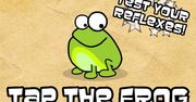 Tap the Frog – recenzja