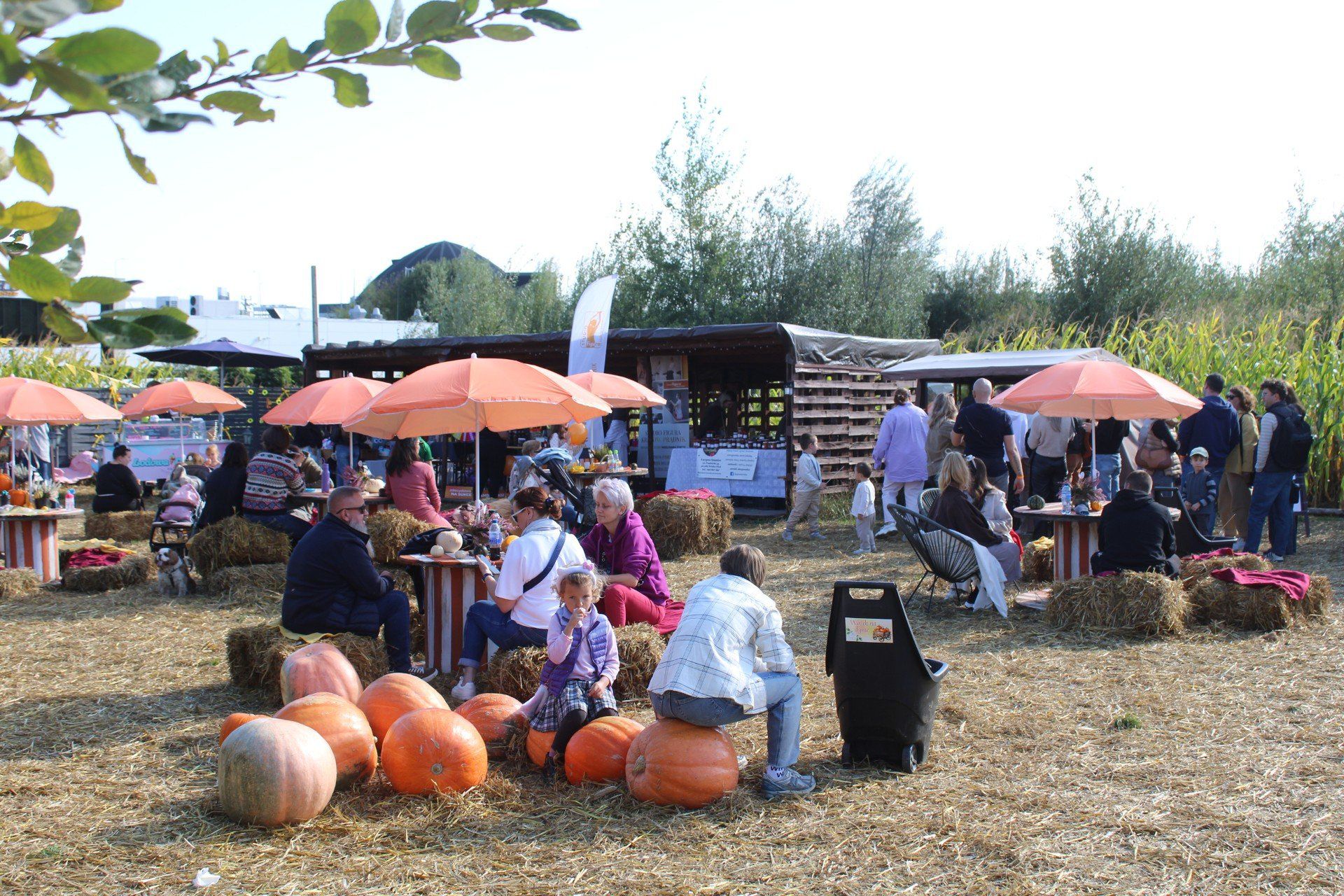 5 PAŹDZIERNIKA: XV Powsiński Dzień Dyni i koncert Majki Jeżowskiej