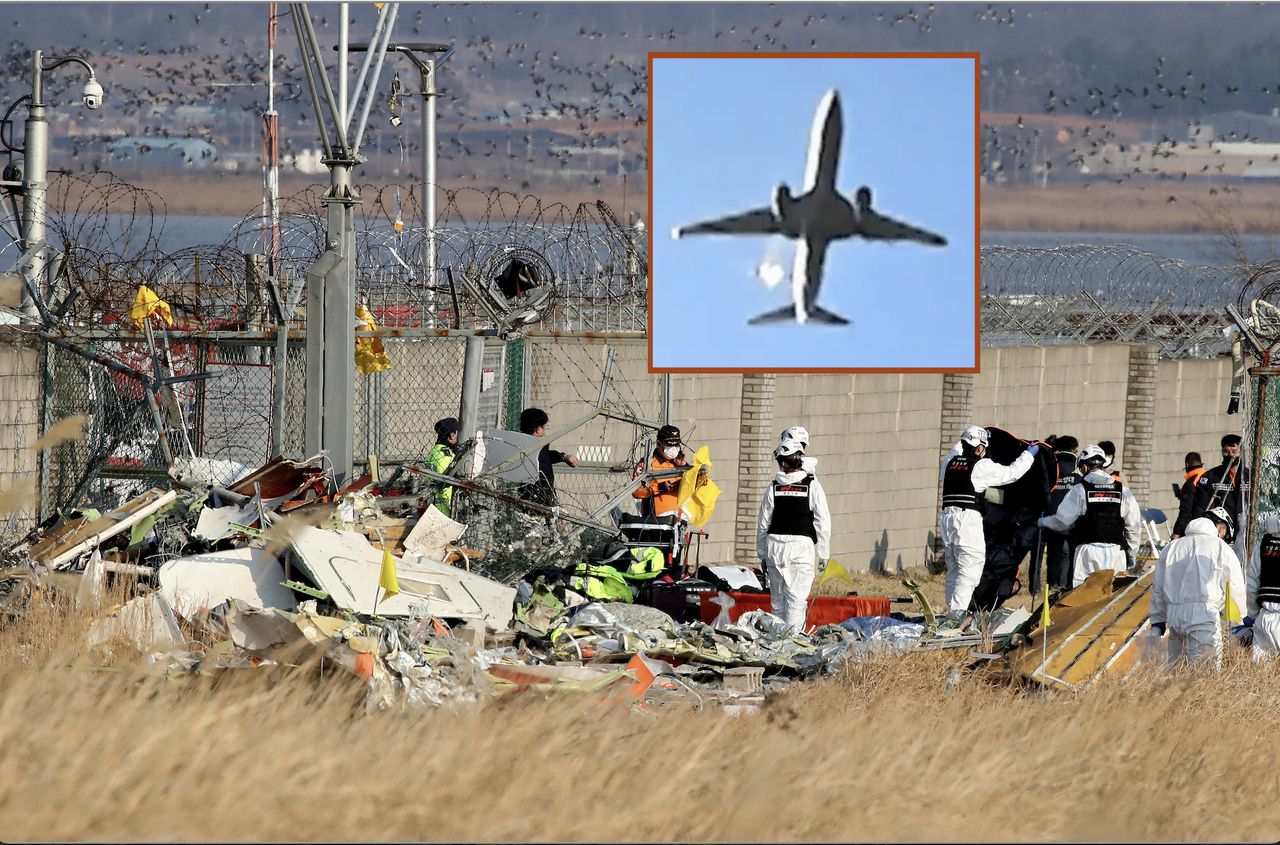 Boeing 737-8AS in Südkorea: Flugzeug zerstört, 167 Tote
