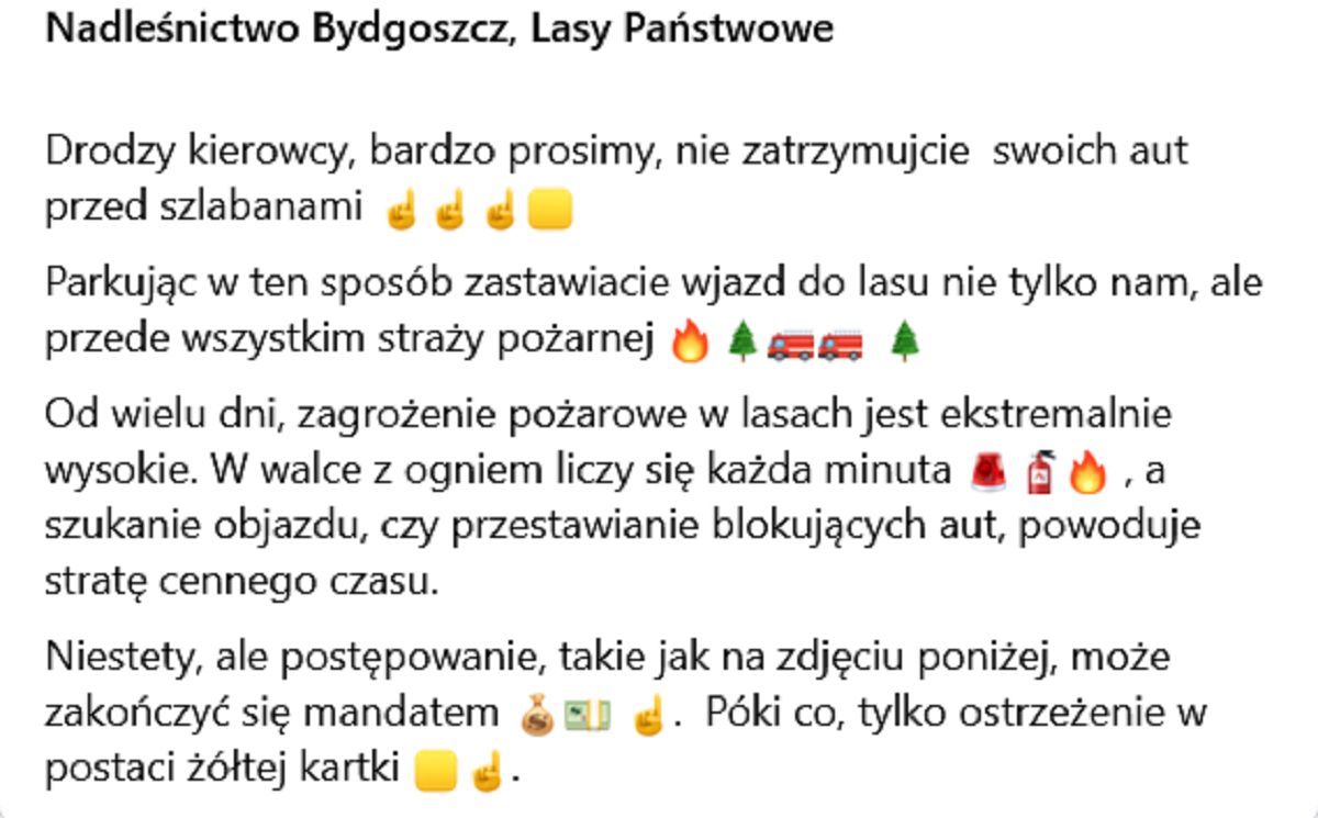 Leśnicy ostrzegają