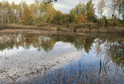 Pogoda. Wrocław. 21 września - znów nieciekawie za oknem. Poprawa w weekend