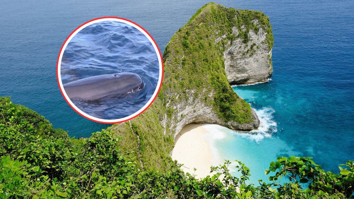 Dramatyczna akcja ratunkowa