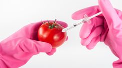 Naukowcy donoszą: GMO jest koniecznością, żeby wykarmić planetę