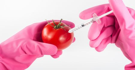 Naukowcy donoszą: GMO jest koniecznością, żeby wykarmić planetę