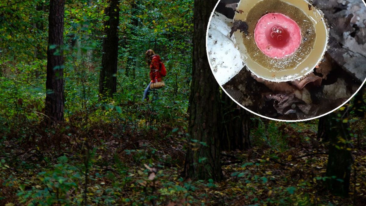 Adobe Stock/Facebook