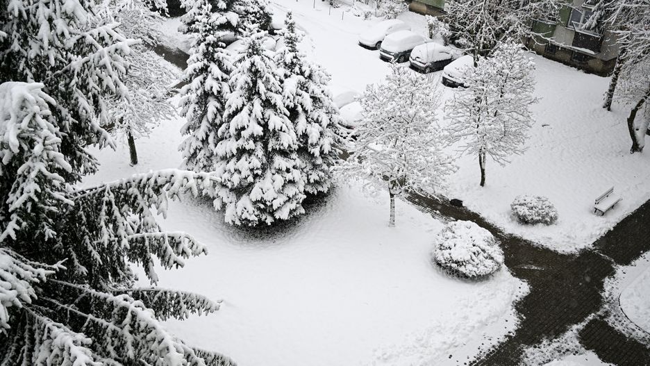 Darek Delmanowicz
atak zimy, mr�z, opady, pogoda, widok, zaspy, zima, zimowa