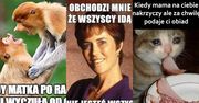 MEMY z okazji Dnia Matki 2024. Internauci śmieją się do rozpuku z okazji wyjątkowego święta