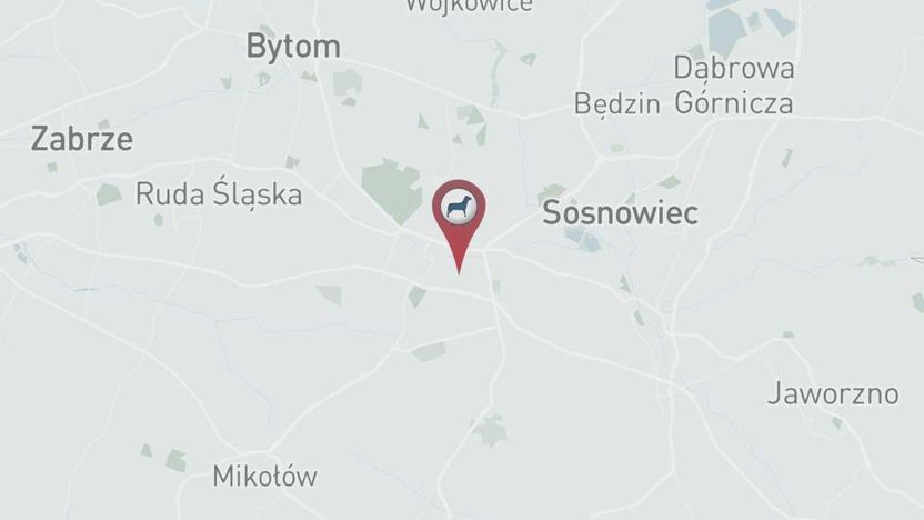 Znajda.org