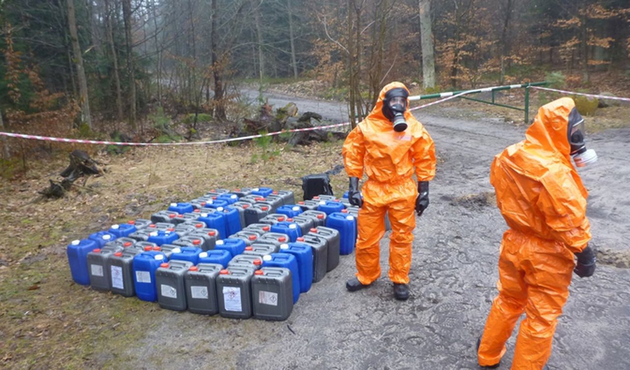 Leśnicy podali porażające dane. Oto, co znaleźli w lasach