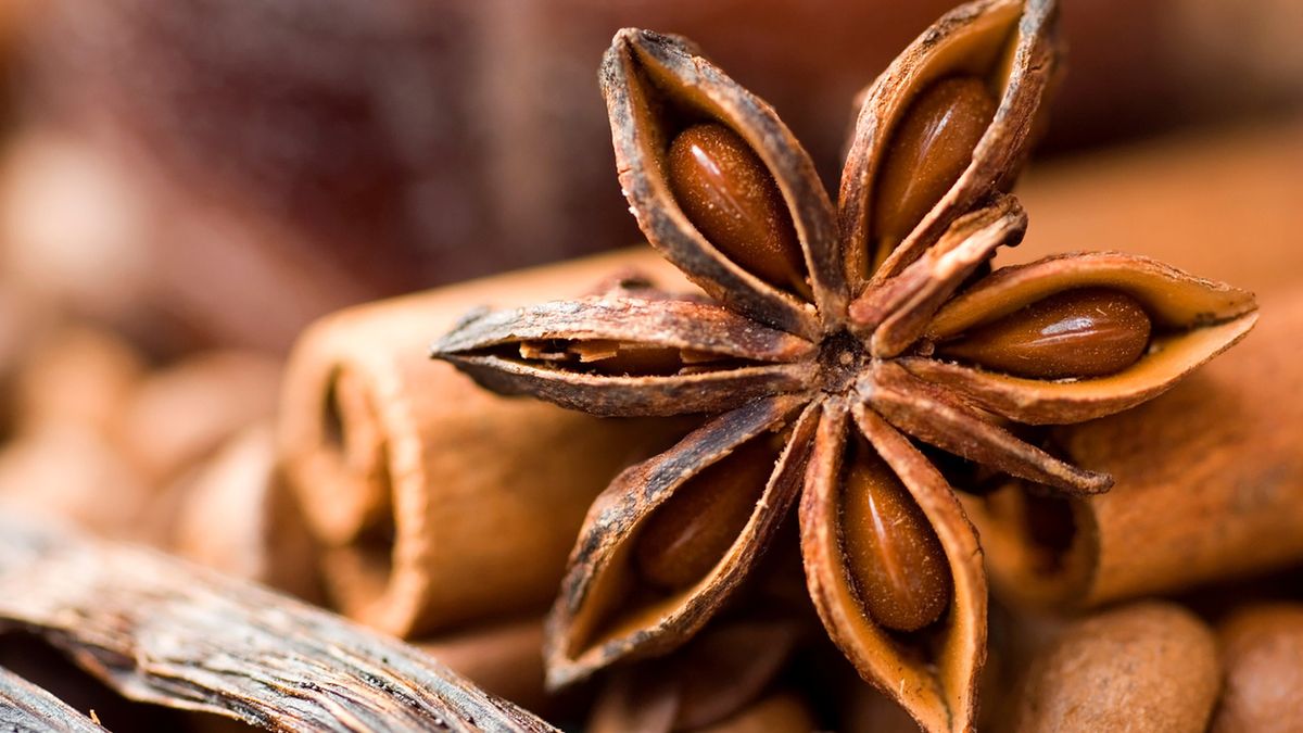 Anyż gwiaździsty cieszy się ogromną popularnością zarówno w gastronomii, jak i w medycynie naturalnej.