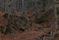 Śląskie. W Beskidach wymarzona pogoda na wędrówki