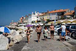Opanowały morze i wywołują kłopoty. Udręka turystów po kąpieli w Adriatyku