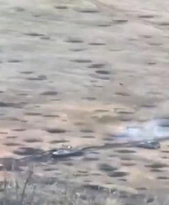 Rosjanie wpadli w pułapkę. Ukraińcy bez litości dla wroga