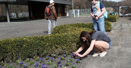 "Trawnik plus". Łódź dopłaci nawet 20 tys. zł do prywatnej zieleni