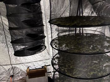 Człuchów: Policjanci pojechali do pożaru komina. Podczas działań odkryli nielegalną plantację konopi