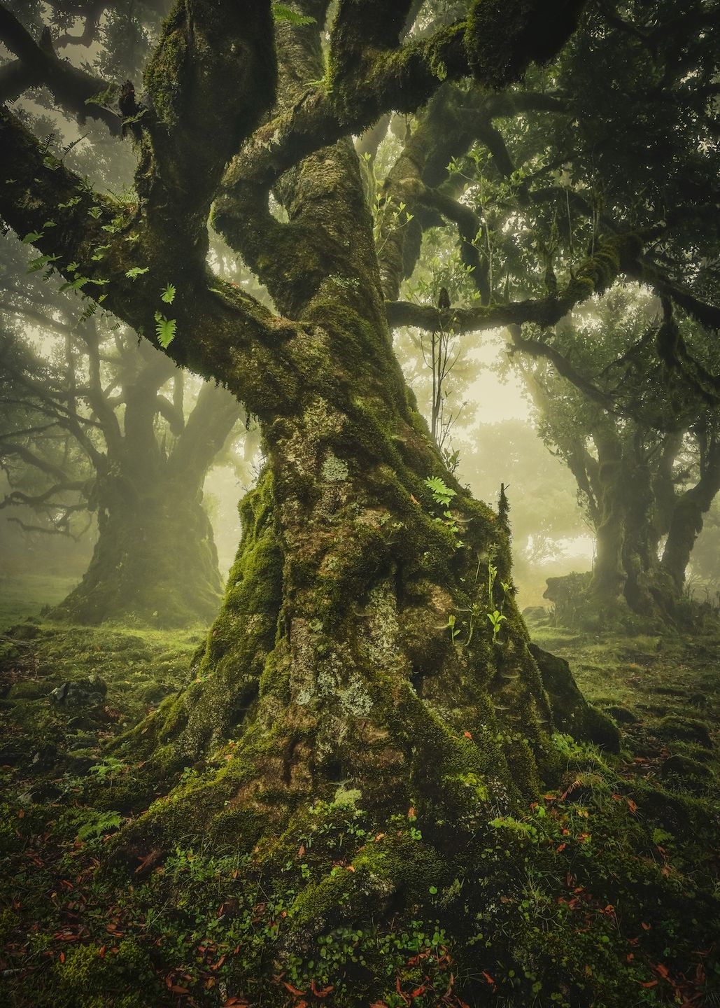 International Landscape Photographer of the Year 2019 – wyniki konkursu 13