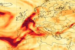 Chmura dymu nad Polską. Mamy komentarz służb