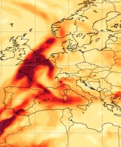 Chmura dymu nad Polską. Mamy komentarz służb