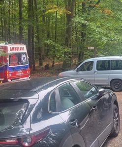 Pokazano zdjęcie z lasu. "Dramatycznie apelujemy"