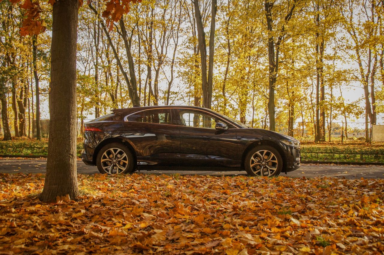 Jaguar I-Pace