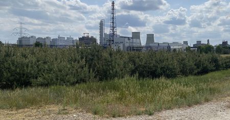 Narodowy czempion stoi. "Przez 60 lat czegoś takiego nie było"