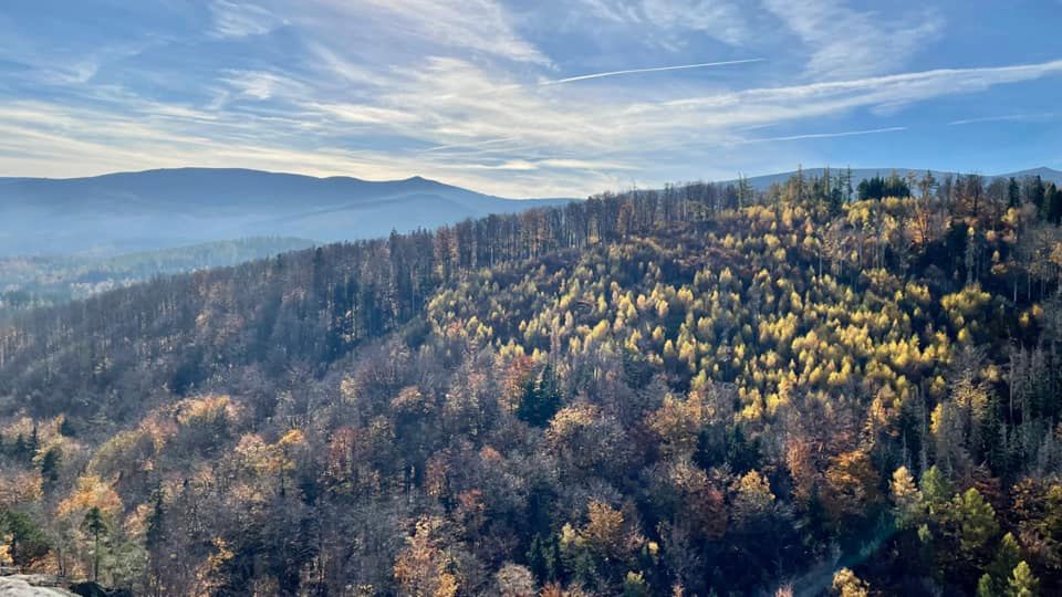 Piękno polskiej jesieni na zdjęciach naszych czytelników. W tym roku jest wyjątkowa! 3