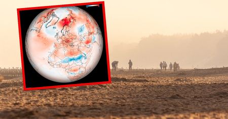 Takich temperatur jeszcze nie było. Najgorętsze lato w historii