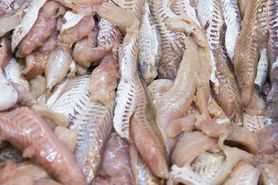 Uważaj na te ryby. Często zawierają groźne pasożyty