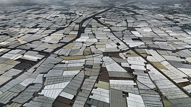 "Plastikowe morze" – hiszpańska Almeria to największy kompleks szklarniowy świata 1