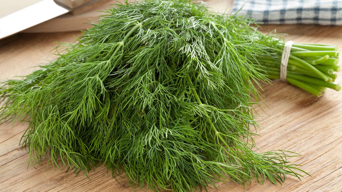 Świeży koperek najlepiej zakonserwować w ten sposób